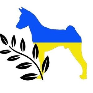 Meet your Posher, Lynn